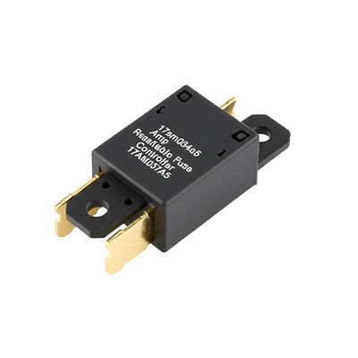 17am034a5 20 ampere herstelbare veiligheidsbeheerder 17AM037A5